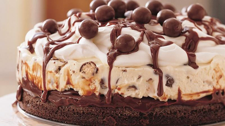 Chocolate Malt Ice Cream Cake