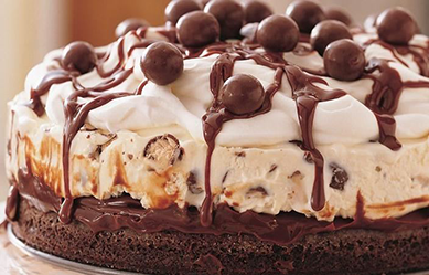 Chocolate Malt Ice Cream Cake